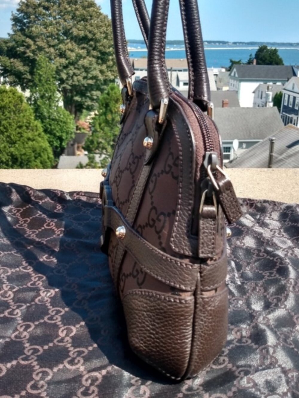 Gucci Interlocking GG Monogram Royal Reins Bag - Picture 9 of 16